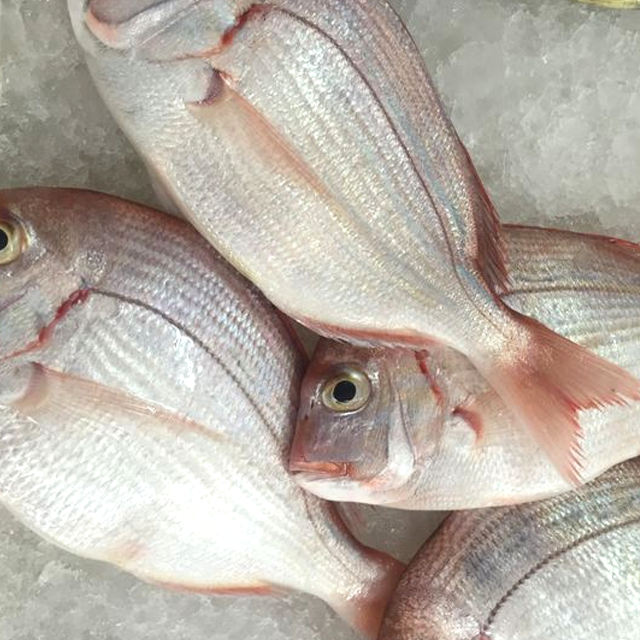 这几种海鱼你知道吗,营养价值极高,烹饪方式多样__凤凰网