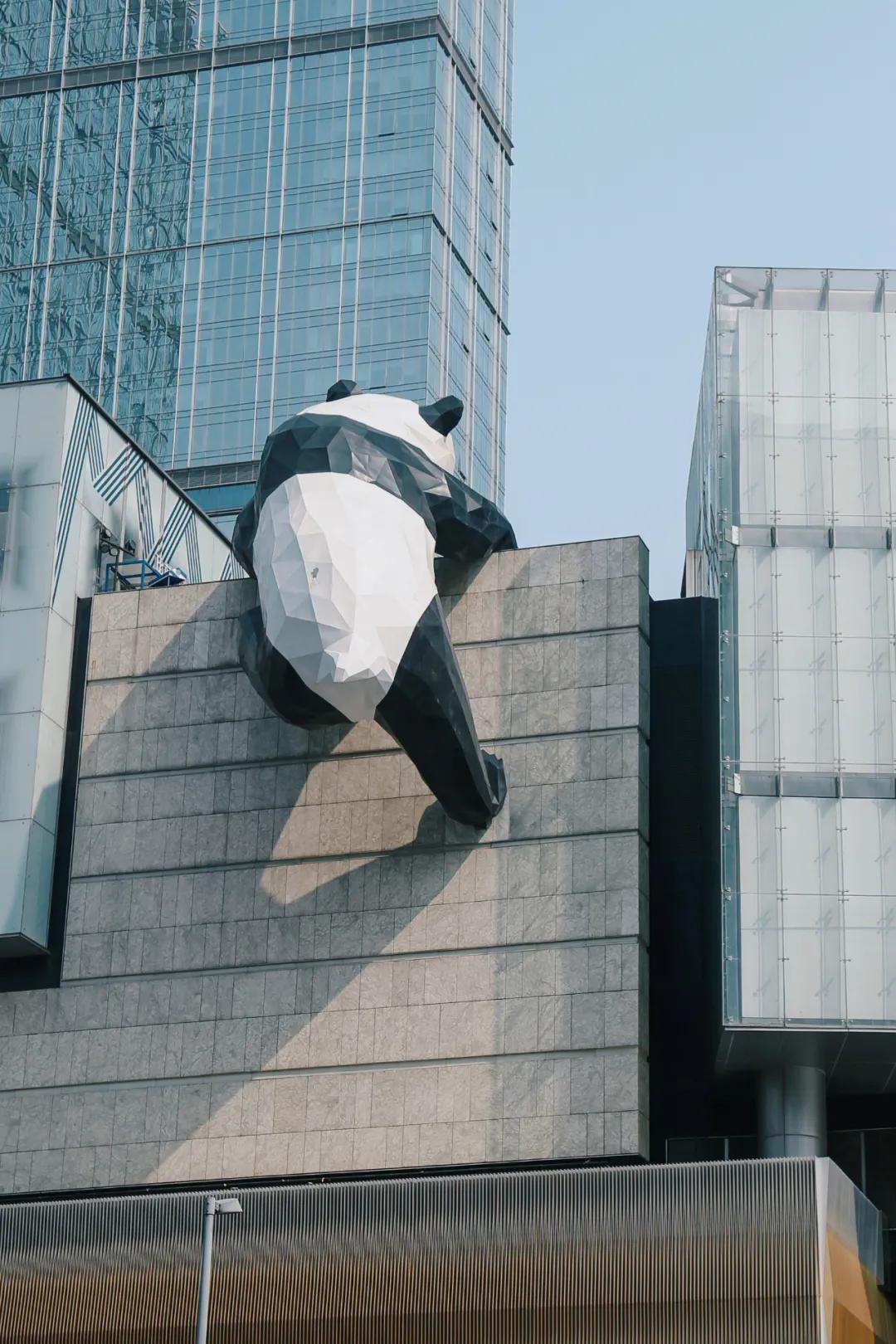 那只憨憨的正在爬楼的大熊猫不知道自己除了正面被无数外地游客合照