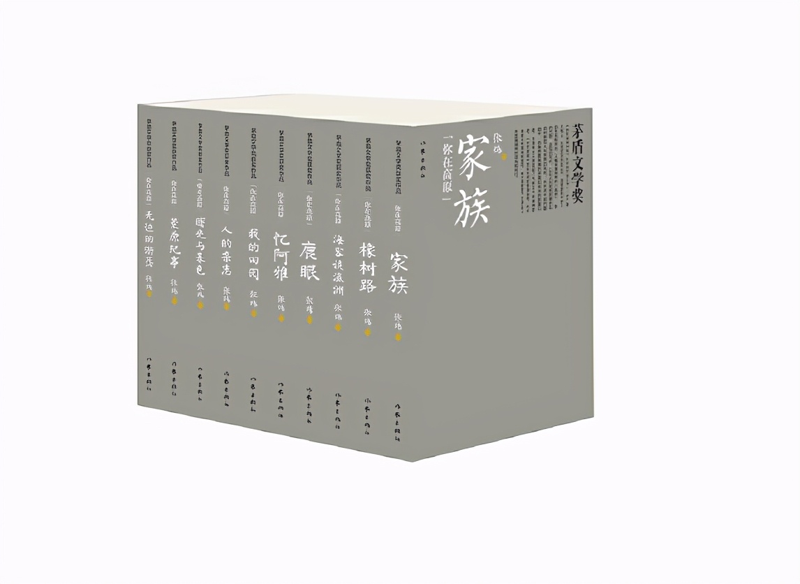杨树行村秘史之大结局:失孤父亲致谢面哥,巨变小村迎来高光