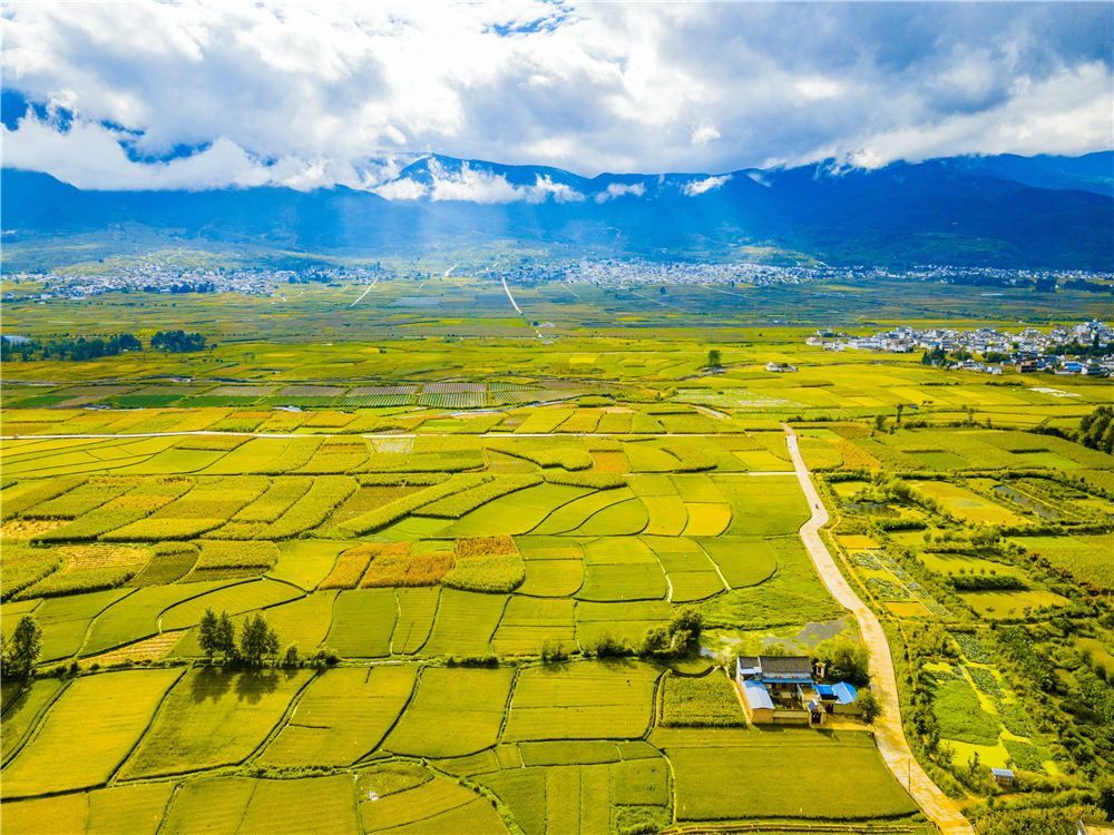 秋风乍起,和大理凤羽小镇来一场相拥