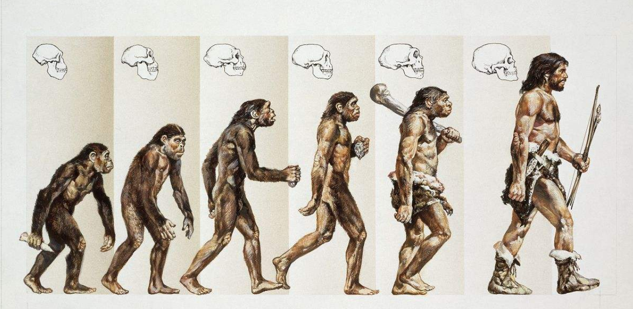 被误读的进化论 让很多人不再相信进化论了