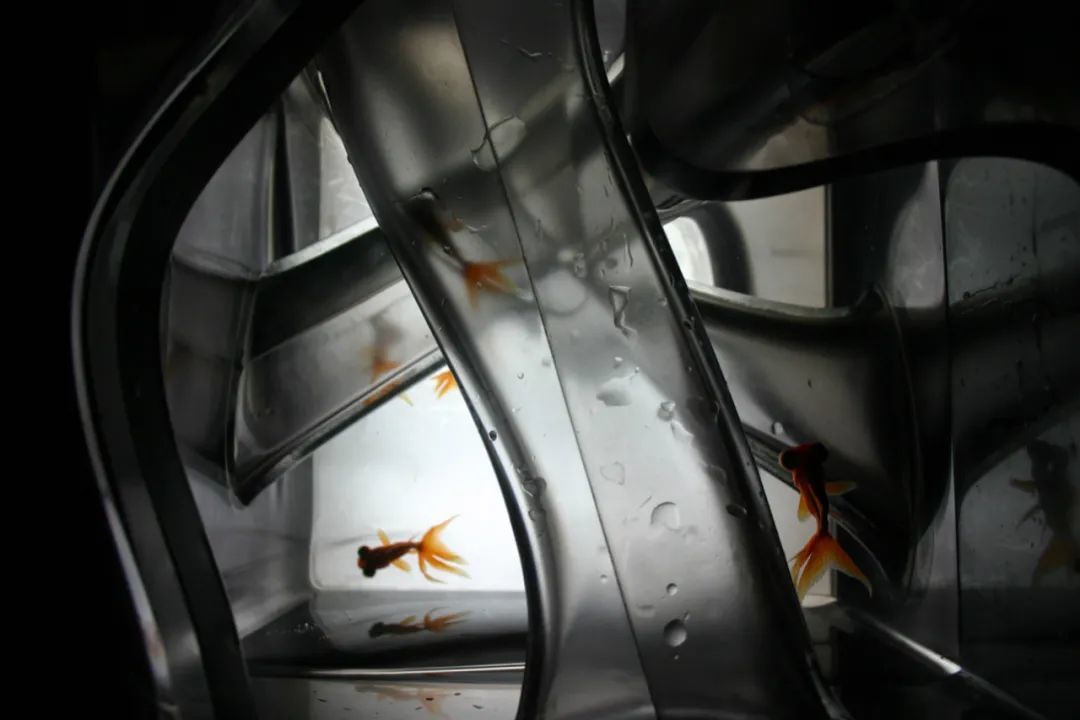 mad建筑事务所,《鱼缸》,2004 美国纽约建筑联盟青年建筑师奖 上图
