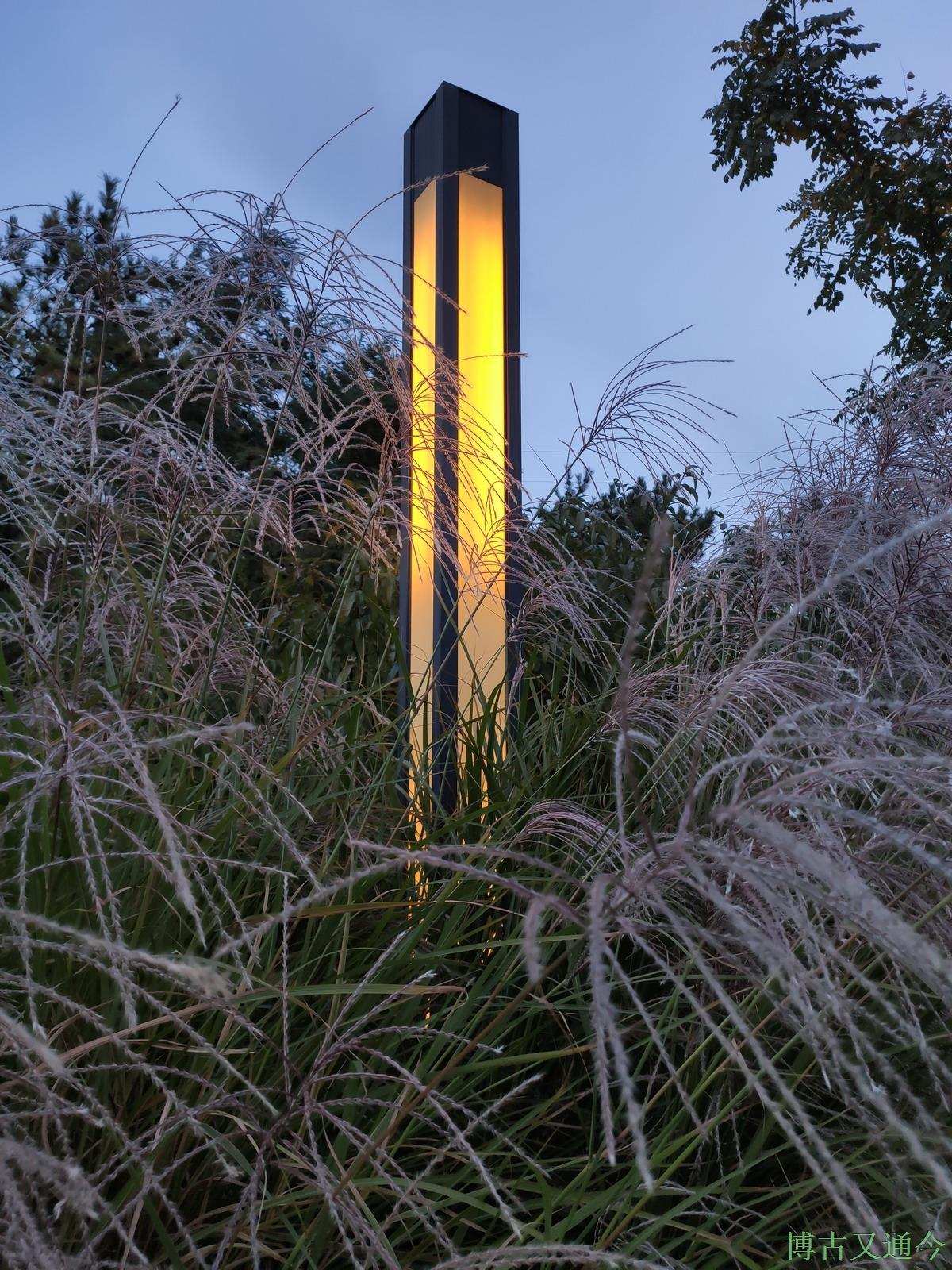 公园内古朴的黄色路灯,看来是认真设计过的.