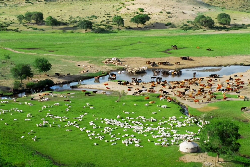 中国生态农牧互联网下农牧业的发展
