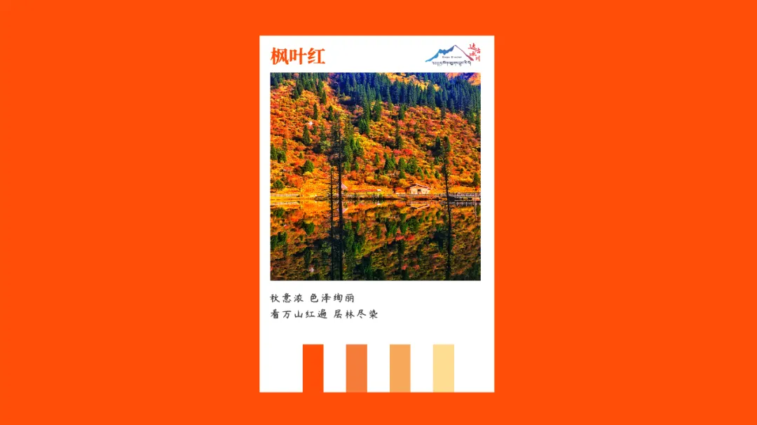 看万山红遍 层林尽染秋意浓 色泽绚丽枫叶红继往开来 砥砺前行弘扬