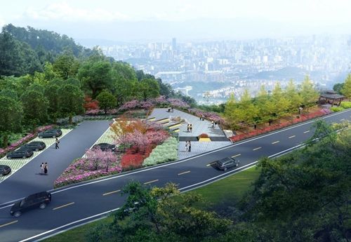 设计景区道路时,道路布局有哪些特点要注意?