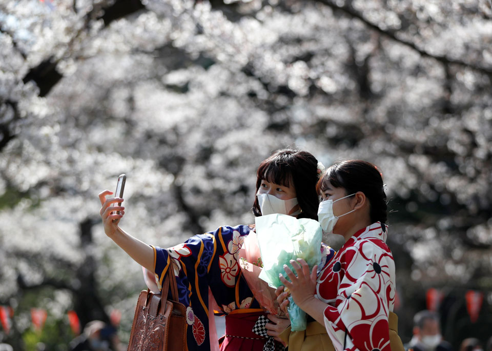 2021年3月23日,佩戴口罩的游客在日本东京观赏盛开的樱花