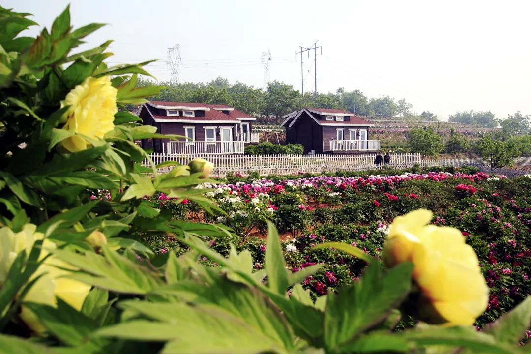 花乡果巷 诗画田园