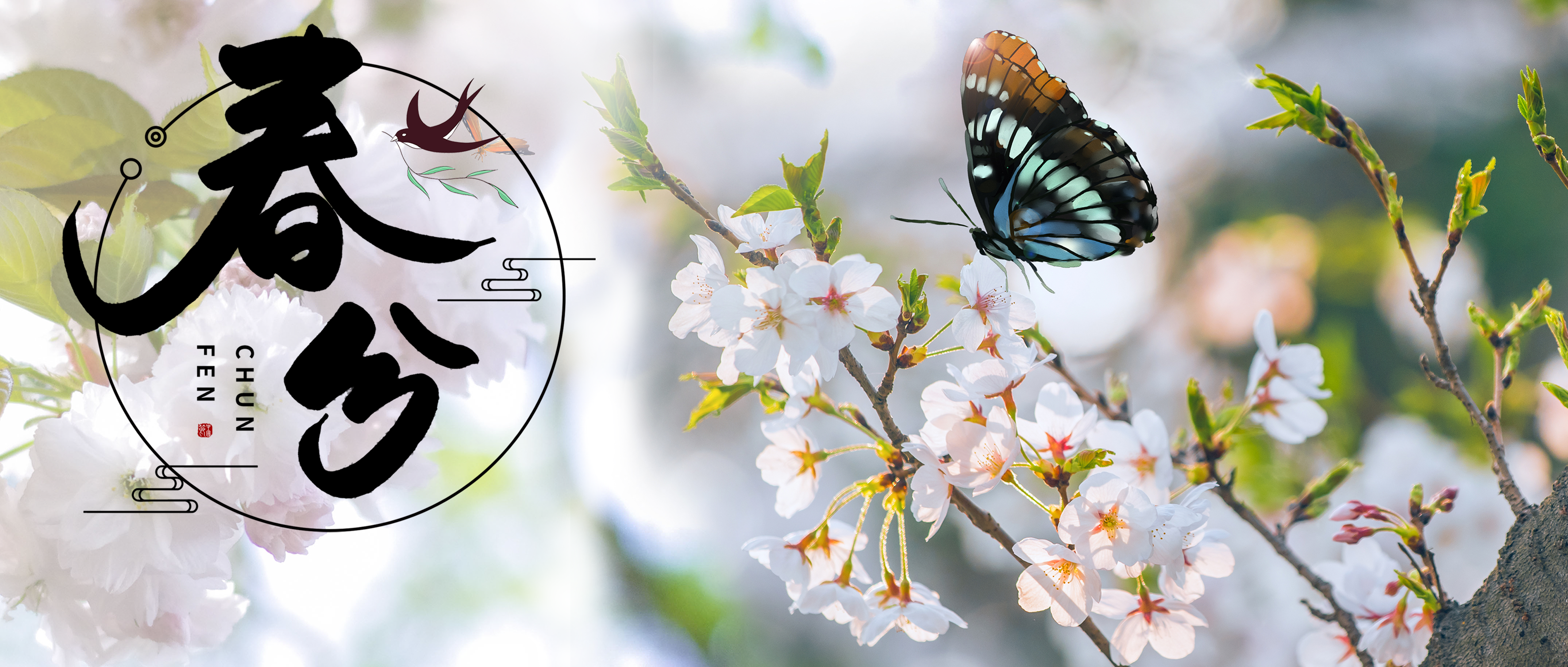 节气养生丨春半日暖,昼夜平分