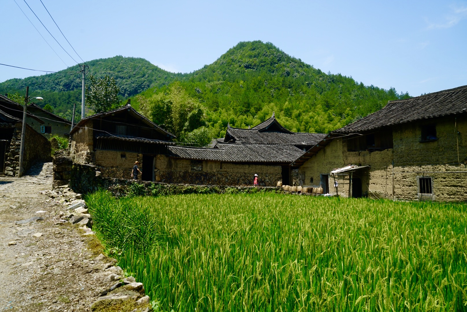 泰顺一日游，这份攻略请收好，带你打卡小众景点入住网红民宿