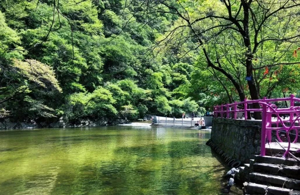 太平国家森林公园|美景在向您"招手"__凤凰网