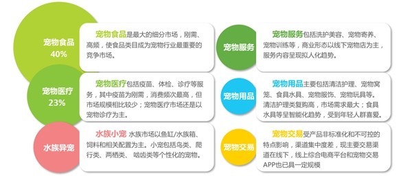 宠物dr是什么宠物医疗快速发展，宠物DR市场需求强劲_https://www.jmylbn.com_新闻资讯_第2张