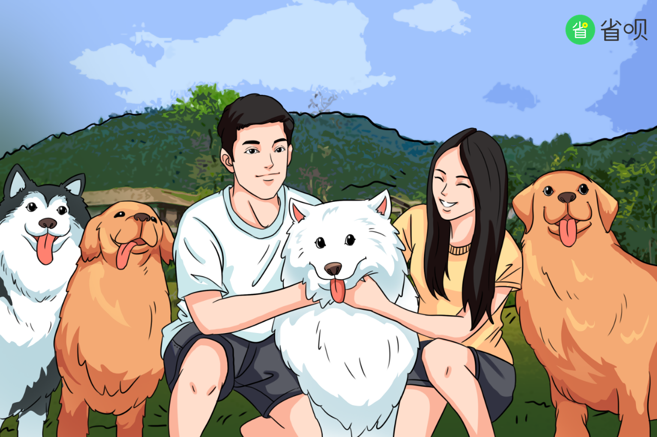 省呗用户故事疫情之下80后小夫妻的犬舍之梦