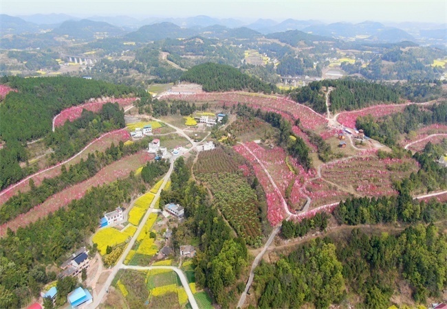 中江县富兴镇阳平电站图片