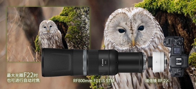 2021 LT10 | 谈佳能第二代全像素双核CMOS AF对拍摄的帮助