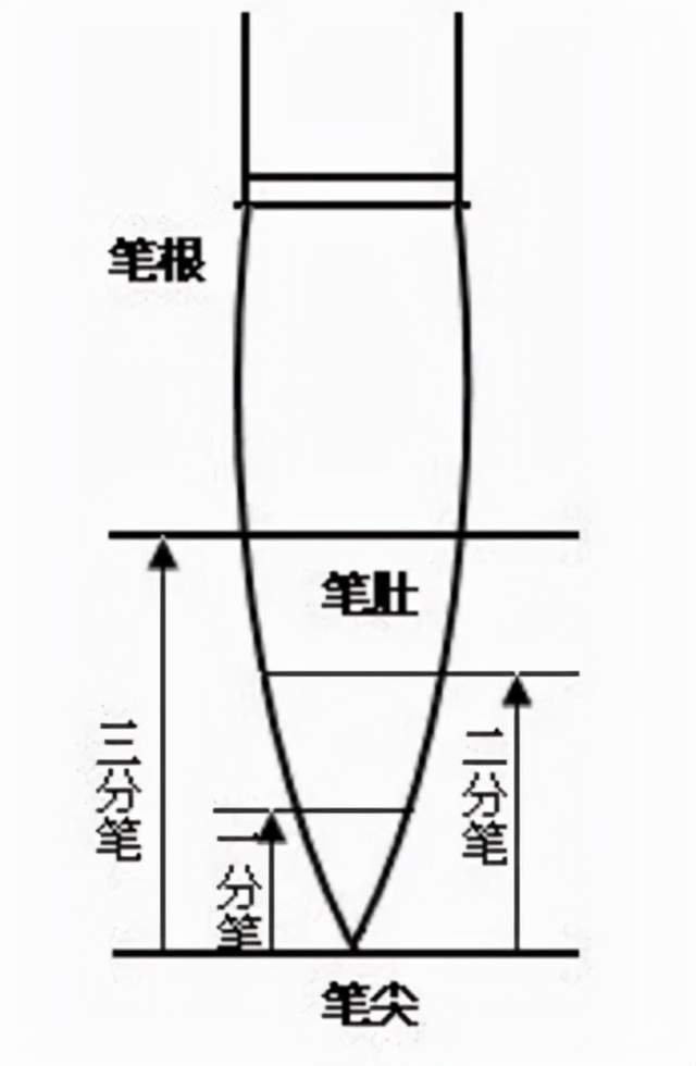 毛笔的部位名称图解图片