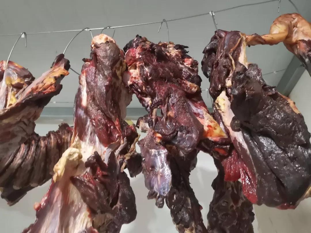 的秋风将新鲜的牛羊马肉腌制以后,割成小条,挂在阴凉处,让其自然风干