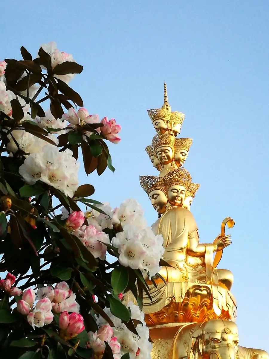 去看人间绝色!峨眉山最高峰万佛顶即将重启开放