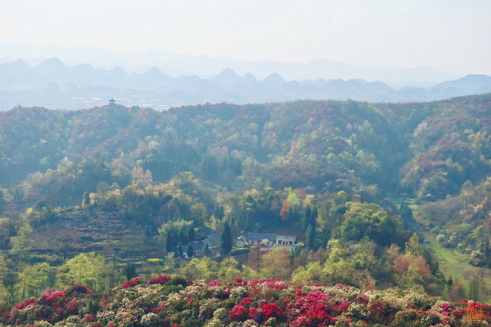 数花峰,山顶的杜鹃型观景亭是普底景区的制高点.