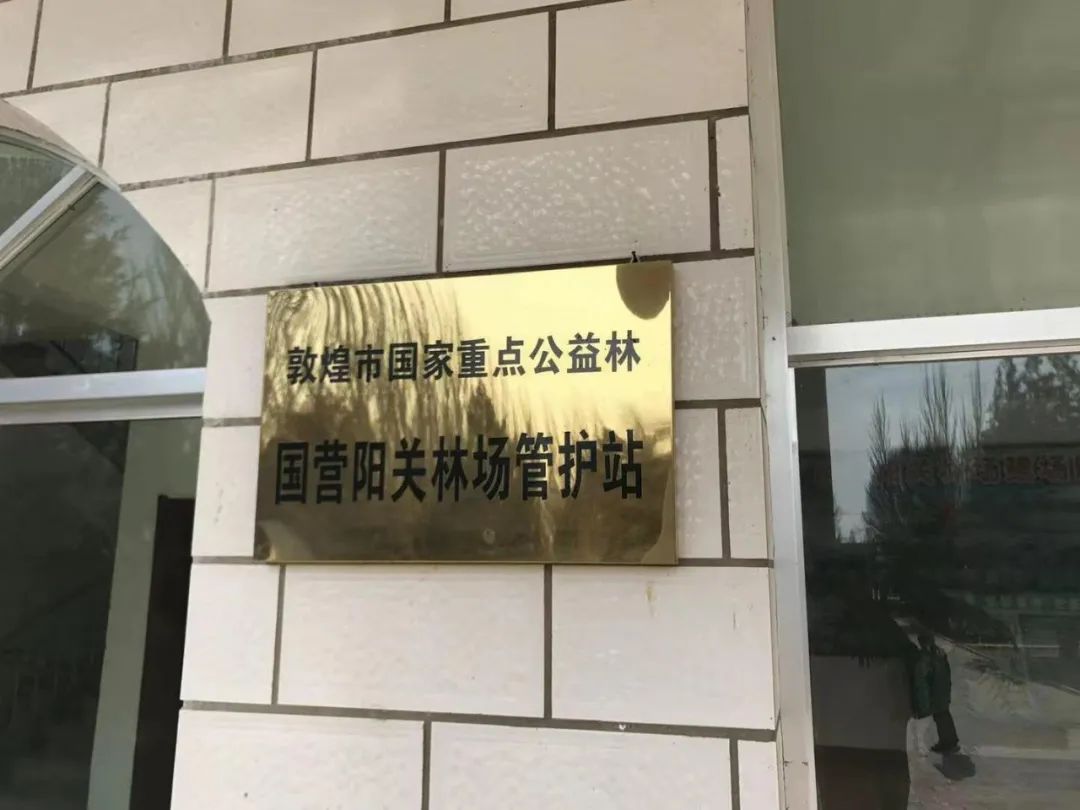 触目惊心！万亩沙漠防护林被毁灭性砍伐，敦煌防沙最后屏障几近失守