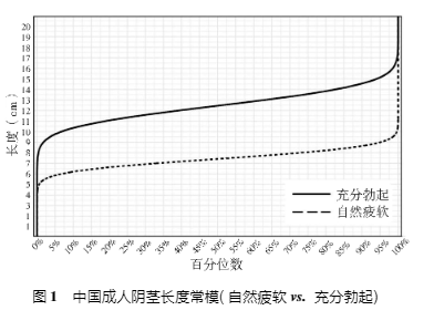 中国男人平均长度图片