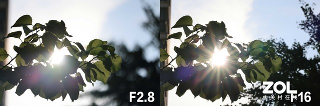 RF系列新利器 佳能RF 100mm微距评测