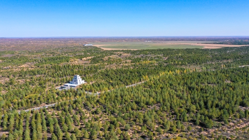 毛乌素沙漠里的金山银山