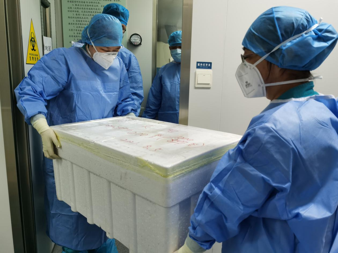 滨州市人民医院:支援烟台,承担大规模核酸检测任务