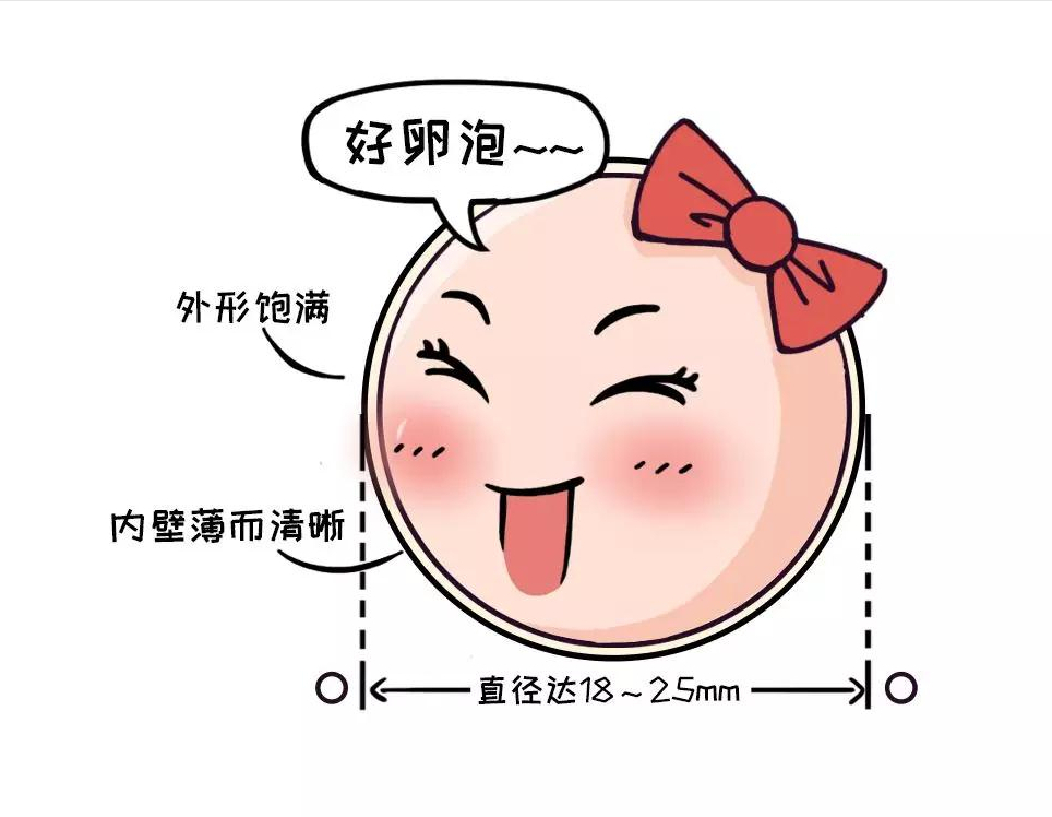 好孕帮!卵泡发育不良是什么原因"全程放心"-第2张图片-白牛博客