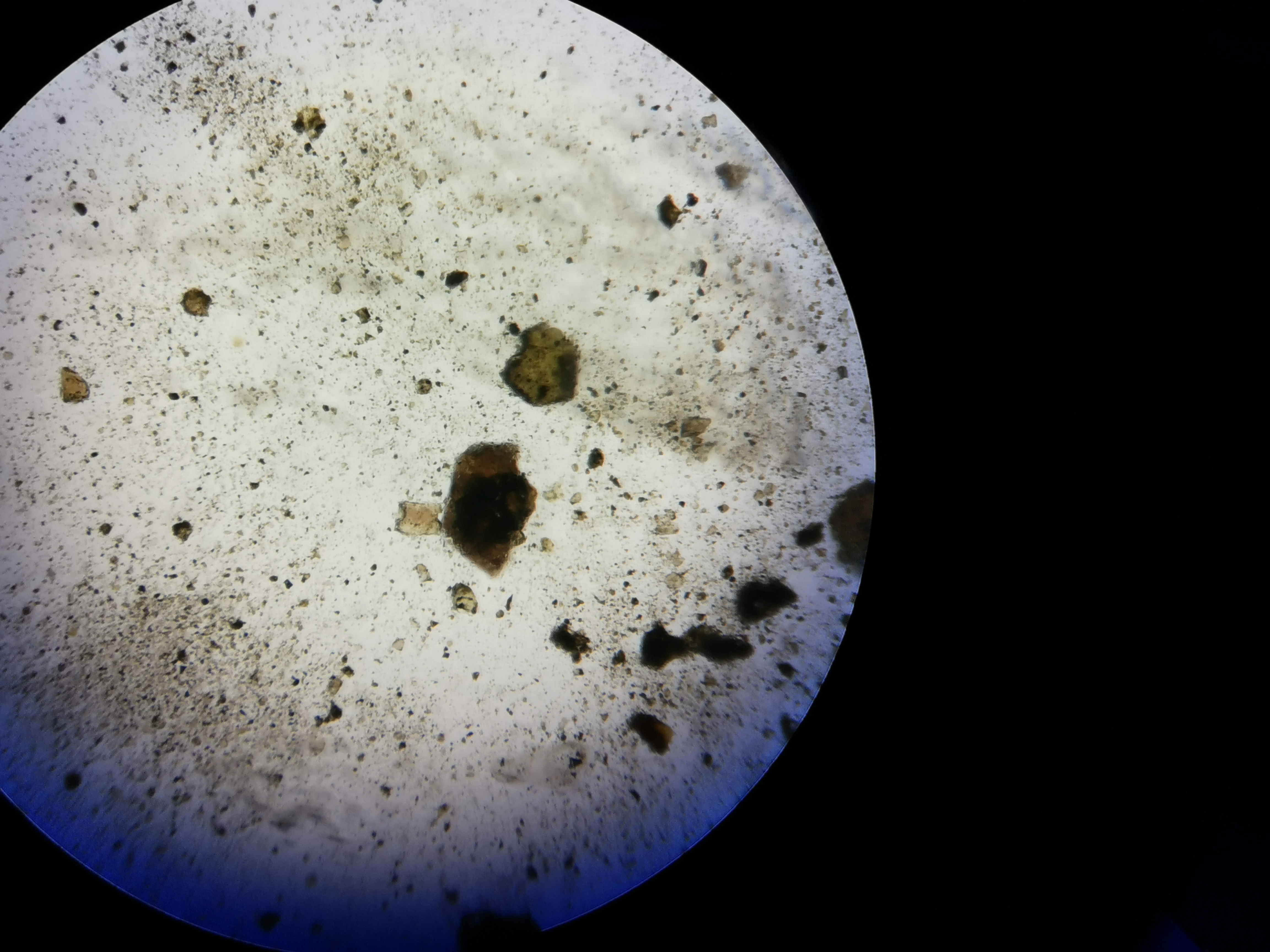 显微镜下放大的月壤样品 摄影：澎湃新闻记者 谢瑞强