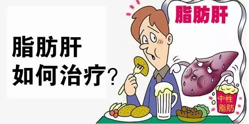 脂肪肝怎麼治癒醫生除了去醫院在家多吃這6種食物