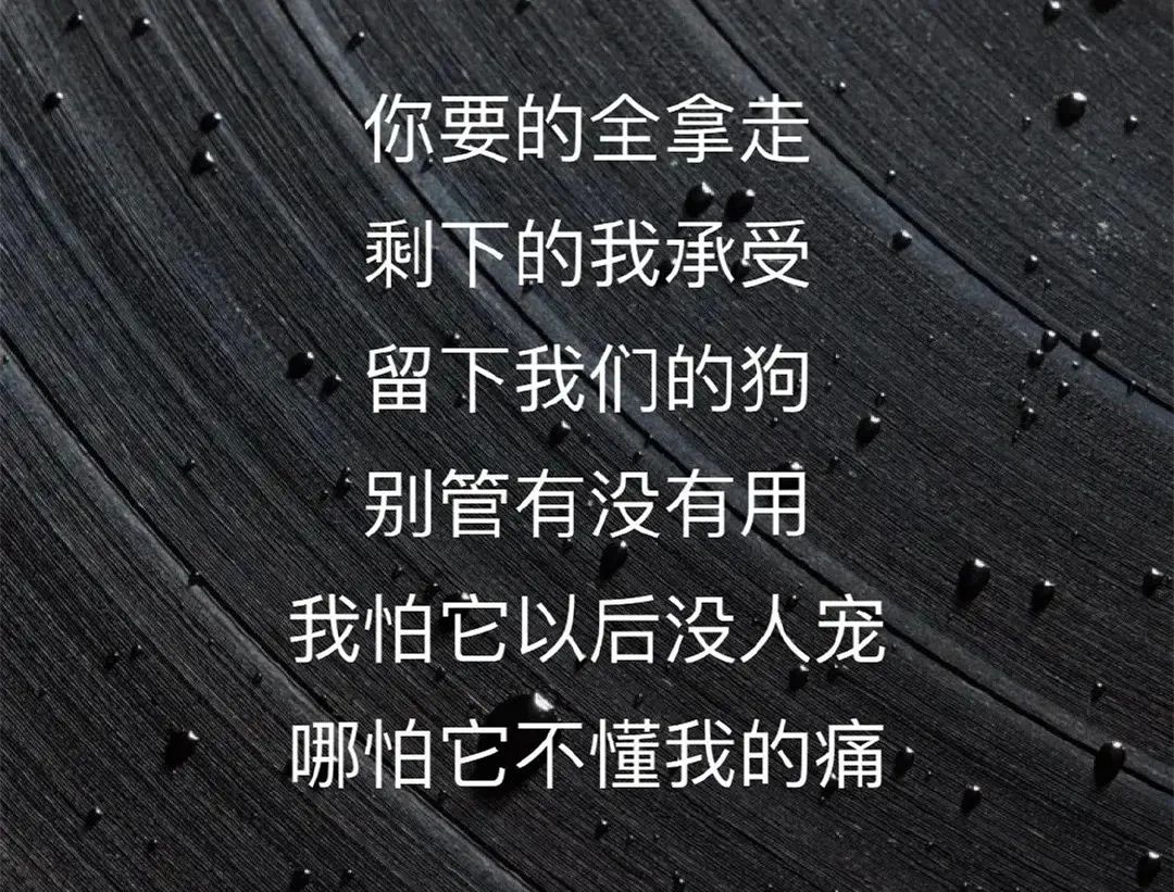 有人也在胡彥斌的《你要的全拿走》歌詞裡找到了一些蛛絲馬跡,估計