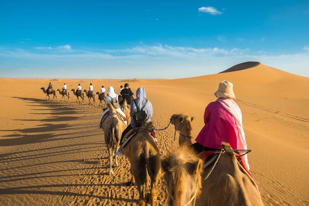 沙漠中的白色帐篷民宿,白天骑骆驼晚上吃烧烤