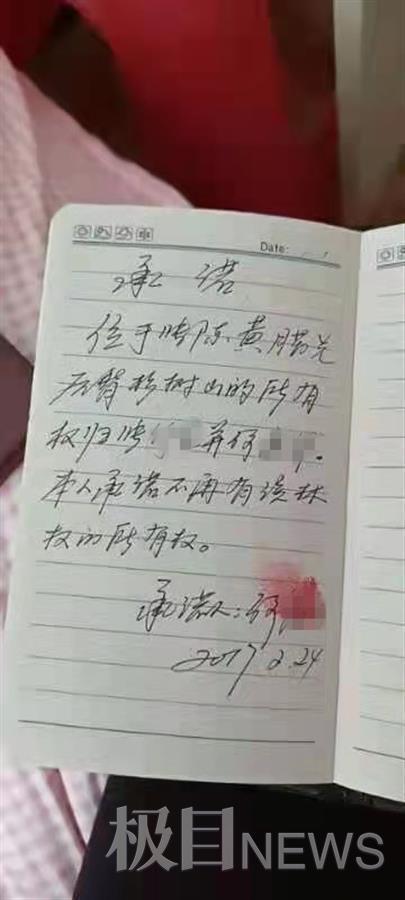 前夫贷款逾期未还，女子离婚6年后财产仍被执行