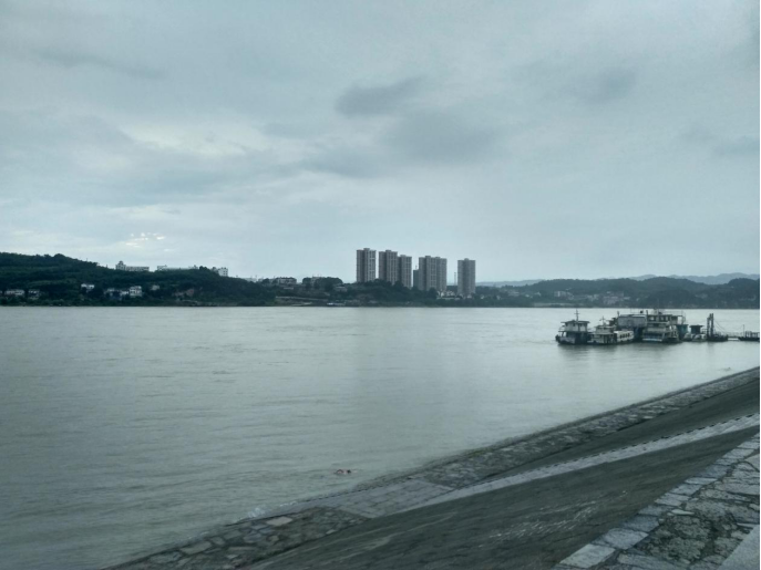 今天荆州沙市区附近的长江(笔者实拍)