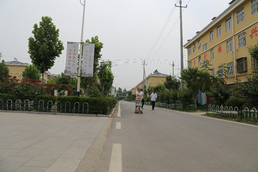 定陶区马集镇梁堂社区:现代农业助力乡村蝶变__凤凰网