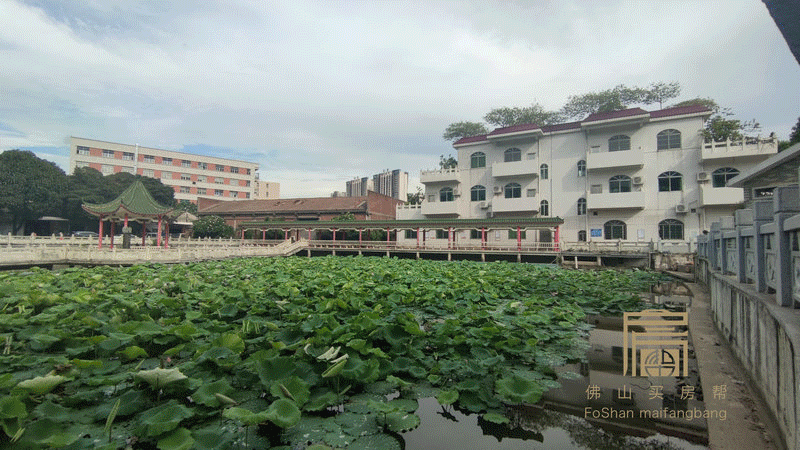 张槎莲塘村将卖7万㎡宅地,可一线望东平河!