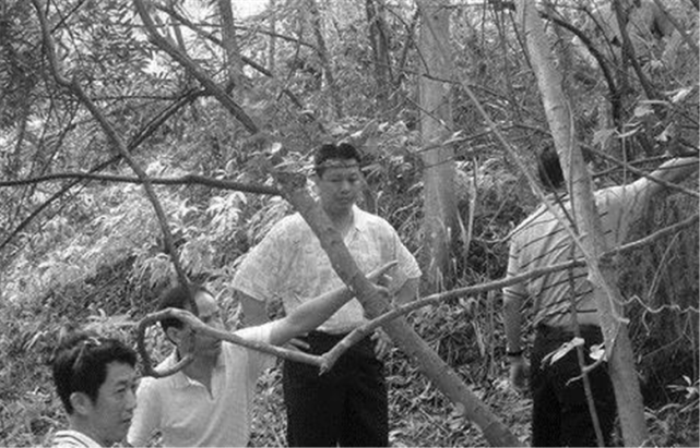 变态杀人电影排行榜_超级恐怖片单,重口味变态杀人电影十五大系列六十部