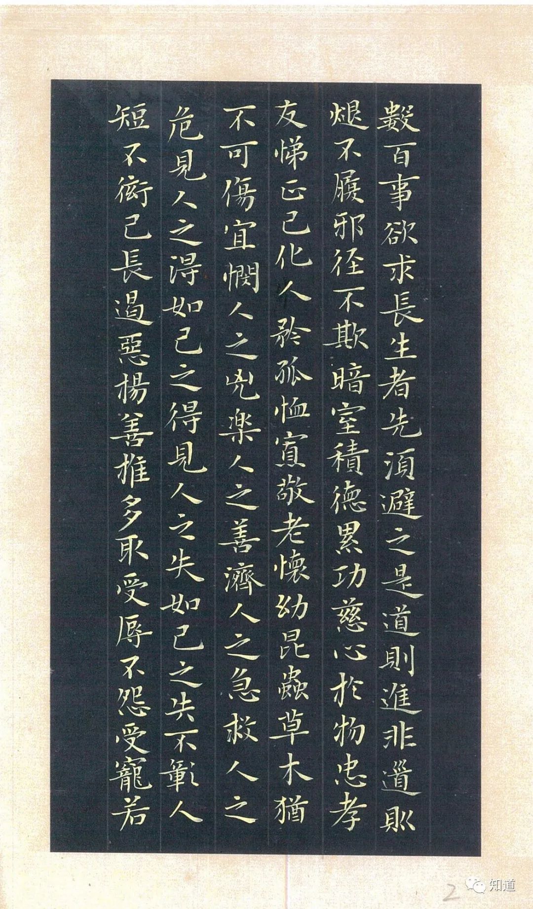 knowart杨文彪趴书小楷太上感应篇上