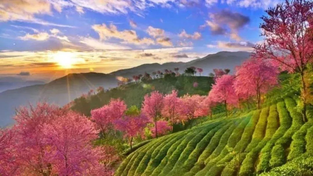 在阳光之下拥抱温暖旅行地,让冬天和感情一起升温