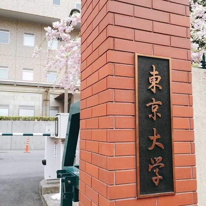 考东大,灵活的头脑比知识更重要__凤凰网