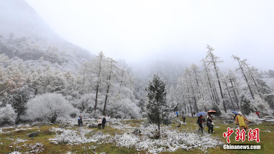 毕棚沟景区雪后风光。毕棚沟景区 供图