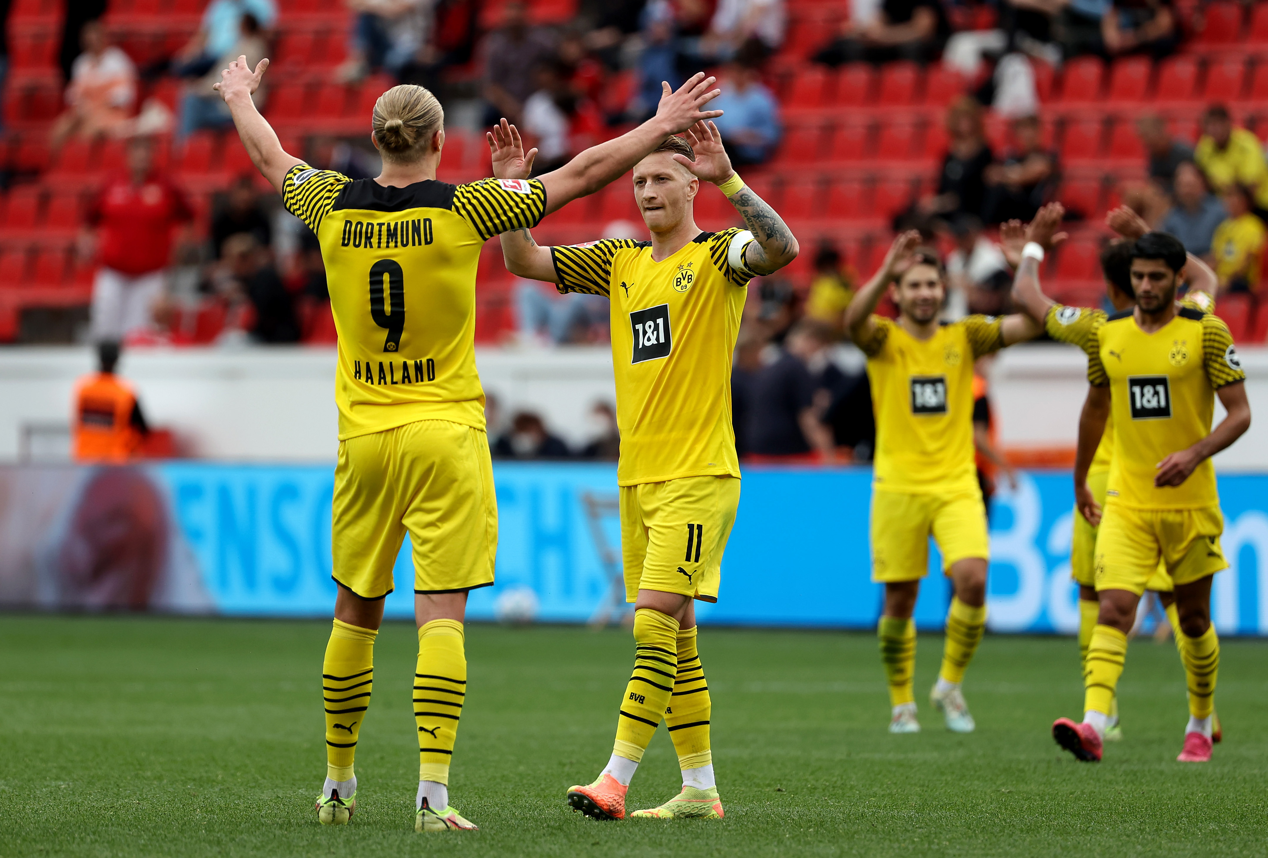 中新社发(海因里希·毕比德兹 摄)关上金沙新闻报道,查阅更多高画质