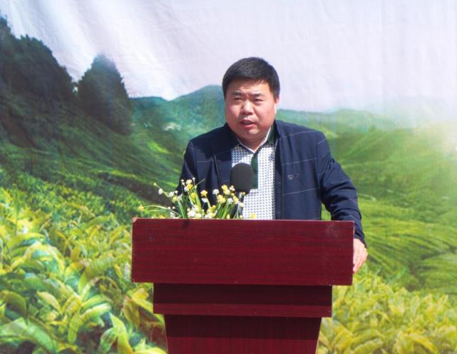 勉县春茶采摘节暨电商直播月活动隆重开幕