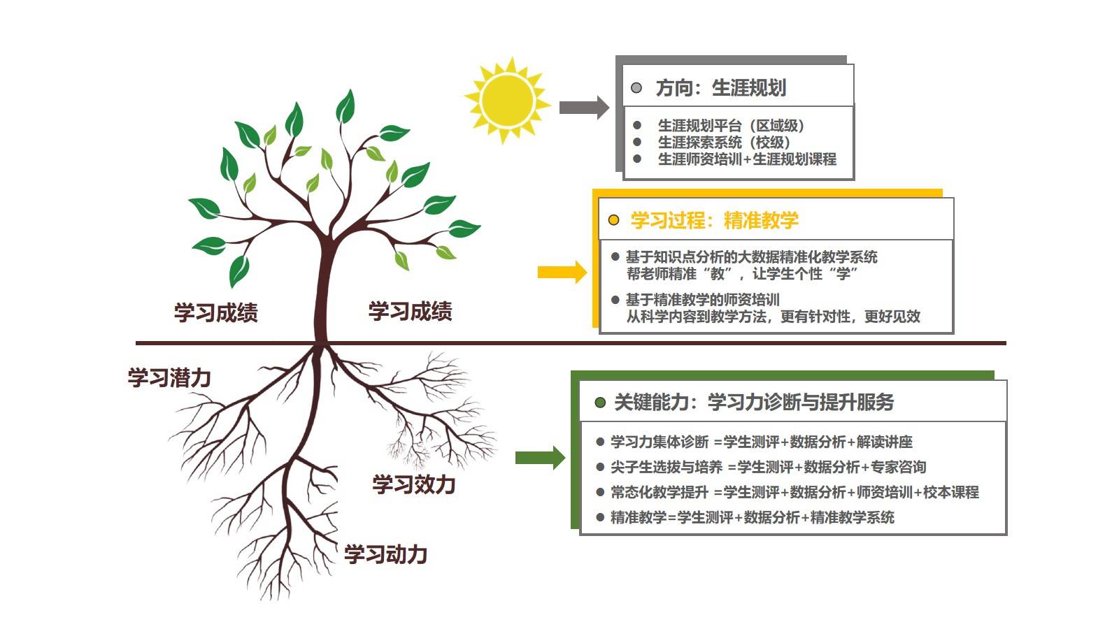 职业规划树状图怎么画图片