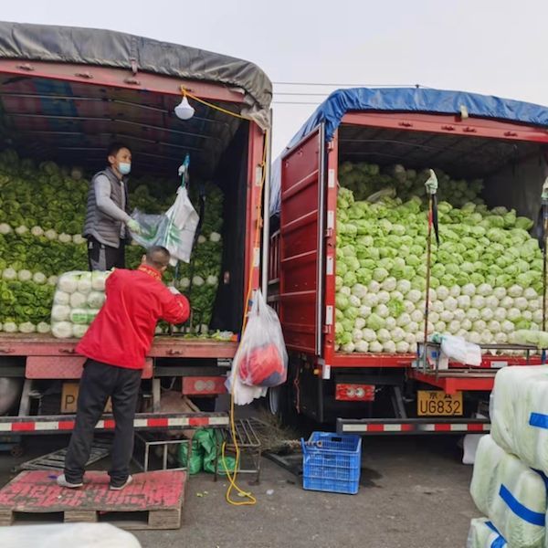 菜价终于降了！记者实探北京蔬菜批发市场：供应充足，菠菜油菜降幅超10%