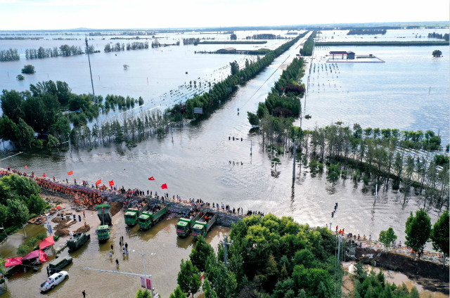 河南浚县滞洪区图片