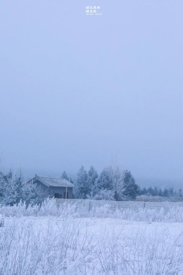 麗江最美雪景圖曝光下雪了麗江人不正常了