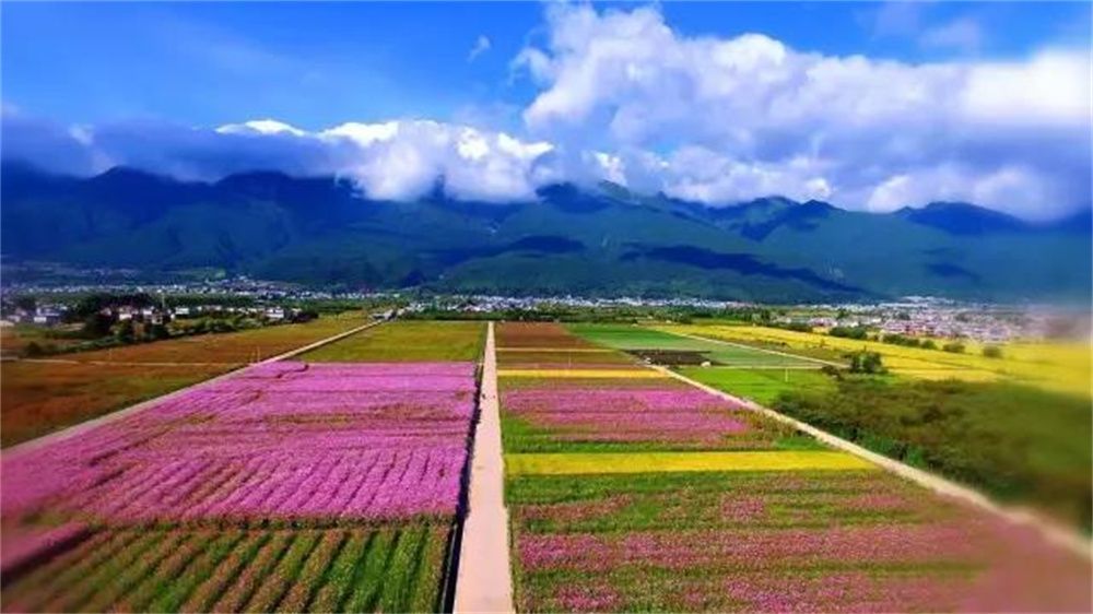 跟着时节游大理 一品时令美食__凤凰网