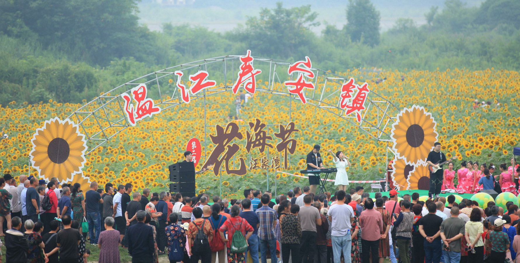 温江区寿安镇第二届汪家湾花海节盛大开幕